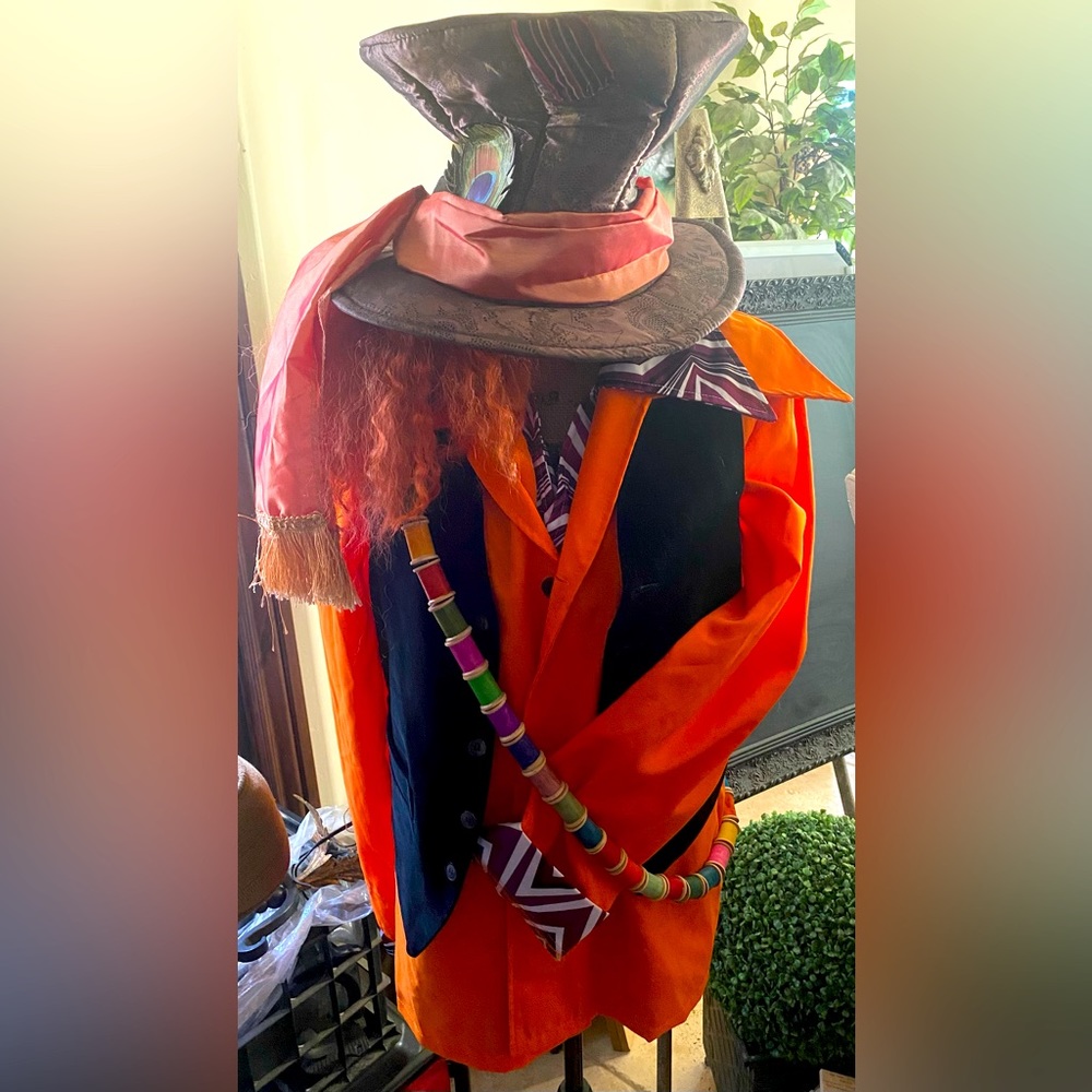 Disney Mad Hatter Costume Adult size Hat/ wig /scarfShirts,velvet vest,Bandolier